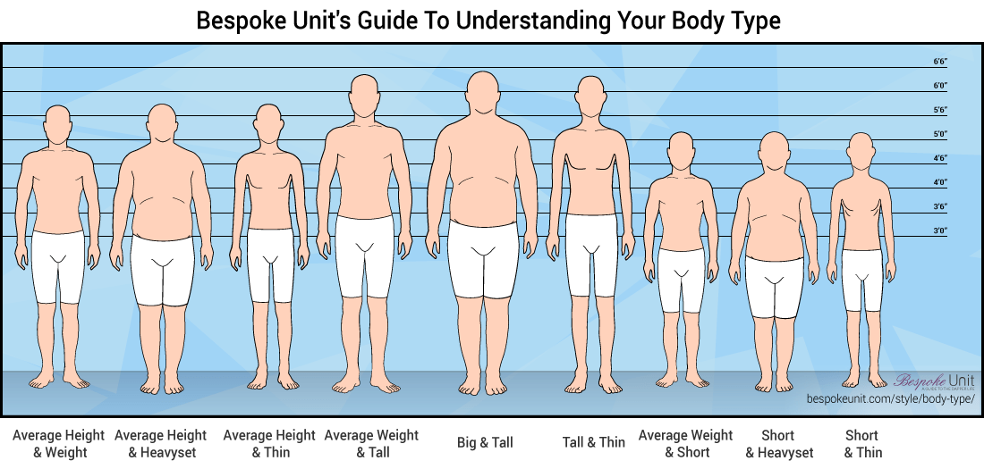 Man's Body Type Infographic